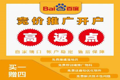 竞价广告赚钱之道：百度案例解析