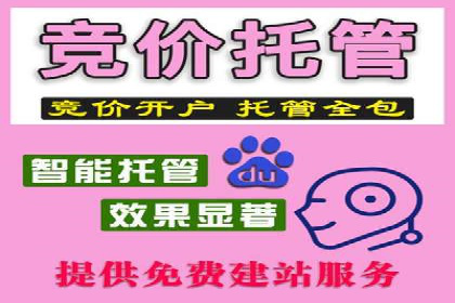案例揭秘：SEM主管如何应对广告投放中的挑战